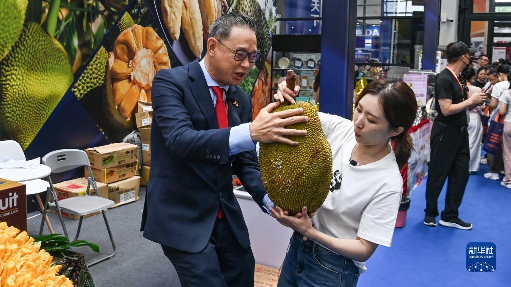 水果森林老虎机说明书
